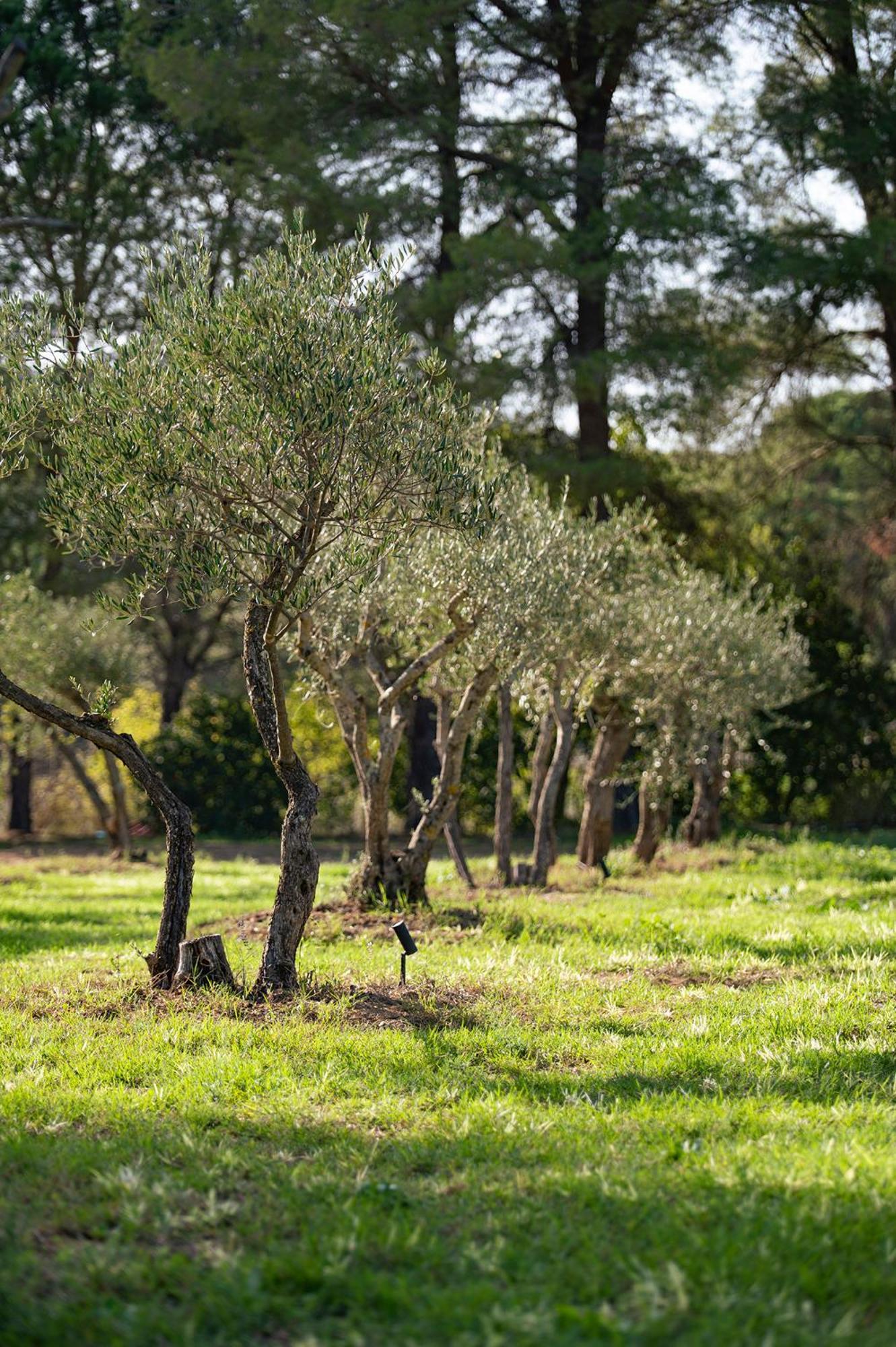 غريمو Le Clos De Mansart المظهر الخارجي الصورة